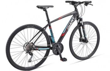Giant Roam 1 Disc