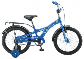 Десна Дружок 16