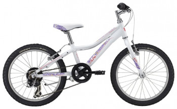 Areva 20 Lite (2015)