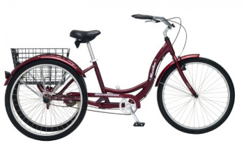 Schwinn Meridian