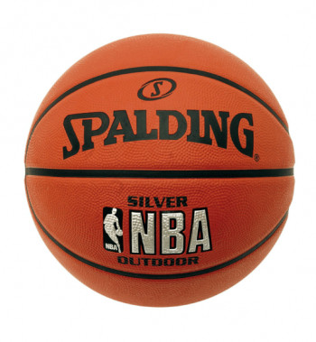 Spalding NBA Silver