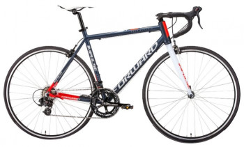 Forward Impulse 28 (2019)