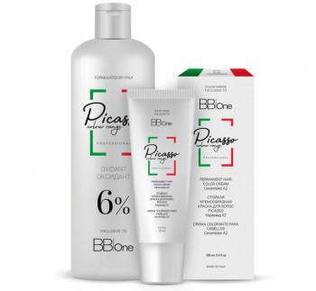 BB One Picasso Colour Range