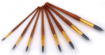 ГАММА белка