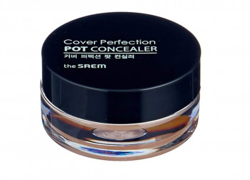 The Saem Cover Perfection Pot Concealer