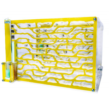 «Экосистема»