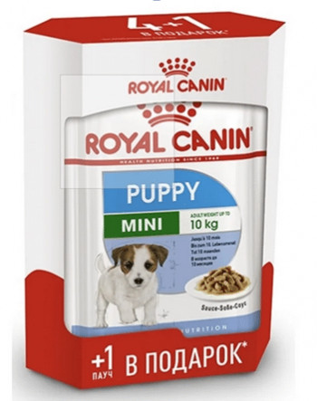 Royal Canin при чувствительном пищеварении (для мелких пород)