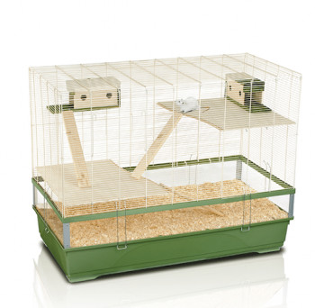 IMAC Plexi 120 Mid Wood