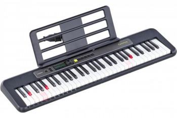 CASIO LK-S250