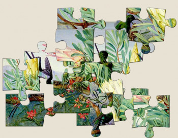 Marianne North